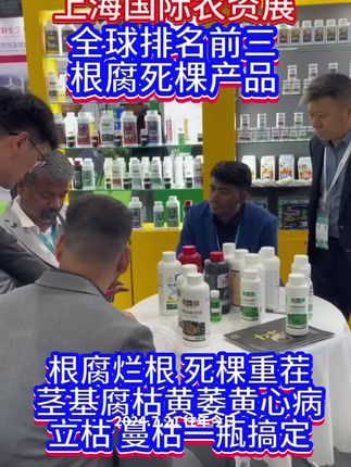 根腐死棵#腐霉泰克