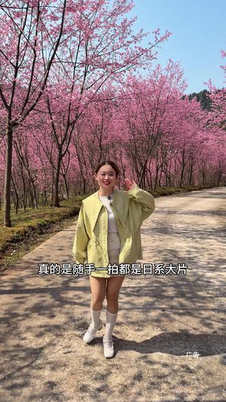 凌云山七彩樱花谷明天就正式开园了。 9.9的单人畅玩票,团了赶紧来看花海吧#凌云山七彩樱花谷 #七彩樱花谷 #南充春节踏青赏花#南充春节去哪儿玩#南充春节周边游