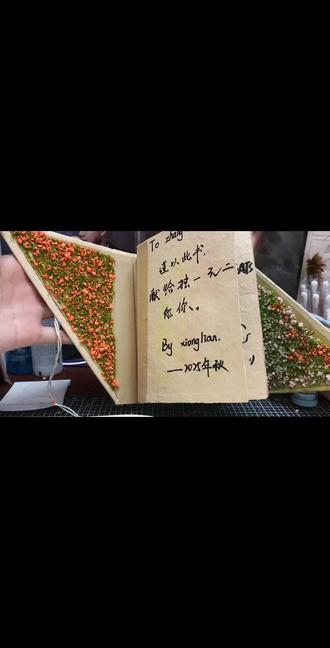 2026年2月1日,我的第一本尼泊尔本终于完工了!#手绘 #丙烯马克笔 #蜡笔 #尼泊尔本 #这都是本宫自己写的