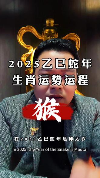 生肖92年的猴运势(92年猴运程)