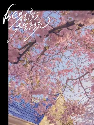 知许解夏,长长久久 #be狂魔求生系统 #许其琛夏知许 #be狂魔求生系统广播剧 #小说剪辑
