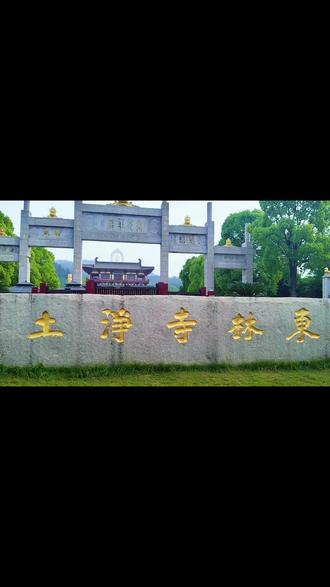 东林大佛,你必往的治愈圣地!这里佛光普照, 人们虔诚跪拜, 所求皆所愿, 所愿皆所得。#心诚则灵
