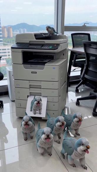 #AI复印机的小狗副本 #随变ai随便玩