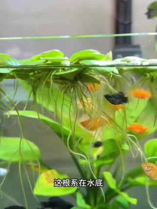 在学校坚决不能碰的4个底线,有孩子的父母一定要告诉孩子#家长必读 #亲子教育 #宝妈 #家里有孩子的一定要看完