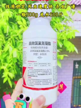 高效氯氟氰菊脂sha虫剂 它采用双元复配技术,厉害之处在于地上地下害虫通杀——不管是啃叶子的蚜虫、菜青虫,还是藏在土里的蛴螬、地老虎,都能一锅端! #农业种植 #服务三农支持三农 #农业种植肥料 #农业种植肥料推广