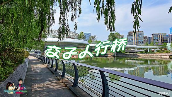 锦水含章,莲桥叠翠。成都交子人行桥以九叶浮莲之姿,融千年交子文脉与现代公园城市理念,横跨锦江,连接东西。白天是“漂浮的空中花园”,步步生景;夜晚光影流转,水幕流光,尽显“国际范、成都味”的诗意与摩登 。它不止是通行之桥,更是承载城市记忆、赋能美好生活的文化地标与生态客厅。