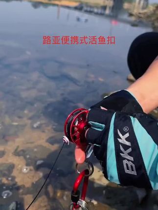 小黄鸭锁鱼扣#垂钓 #户外钓鱼 #路亚钓鱼 #乡村的生活 #钓鱼技巧