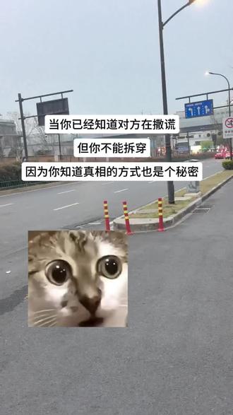 其实我知道真相的方式也是个秘密