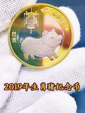 2019年二轮生肖猪纪念币,#纪念币 #十二生肖 #生肖猪