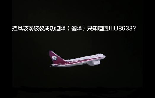 挡风玻璃破裂成功迫降(备降)和双引擎失效成功水上迫降不只有一架飞机#实体专辑 #英航5390航班 #嘉鲁达印尼航空421号班机 #水上迫降