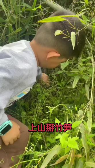五一假期的快乐… 上山掰竹笋