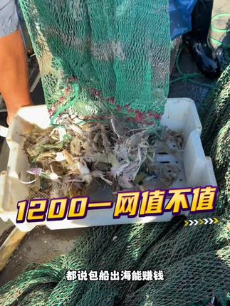 花1200元,出海包一网!你们说是赚了还是赔了!#出海捕鱼 #户外捕鱼 #刷锅传媒