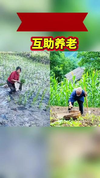 #勤劳的农耕人 #致敬农耕劳动者 #农村互助 #互助养老
🌾佝偻的背撑起一片天!你帮我插秧,我替你挖菜,这才是刻在骨子里的互助啊❤️