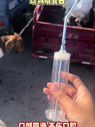 动物喂食 养殖人喂药神器#养殖 #小技巧分享 #好货