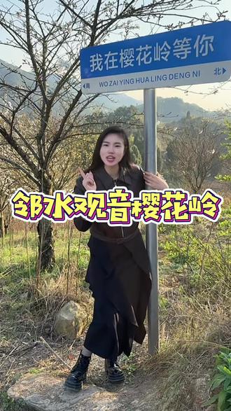 花韵观音桥浪漫春日行,2026邻水县观音桥镇第二届樱花节来啦#花韵观音桥浪漫春日行#观音桥#樱花 #周边游