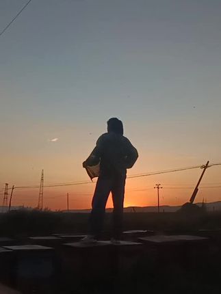 在蜂场里,被金黄包围。夕阳洒落,我随心而舞,与蜂共奏一曲自然乐章。太治愈啦💕#夕阳下的背影#蜂蜜#养蜂女