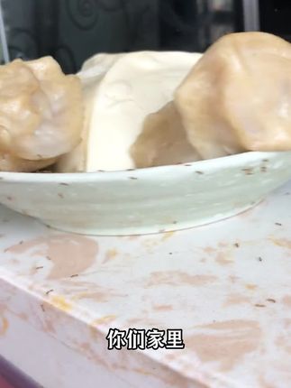 #蚂蚁 #小黄家蚁