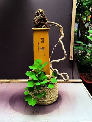 青霜起处坠梧桐…