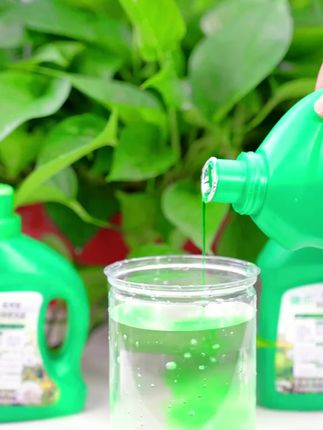 【养花通用浓缩型】植物专用营养液  水培专用营养液  快速生根液#植物营养液 #水培专用#快速生根液 #植物 #养花