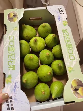 #青皮无花果 #新鲜采摘 #软糯香甜 #应季水果 #强烈推荐