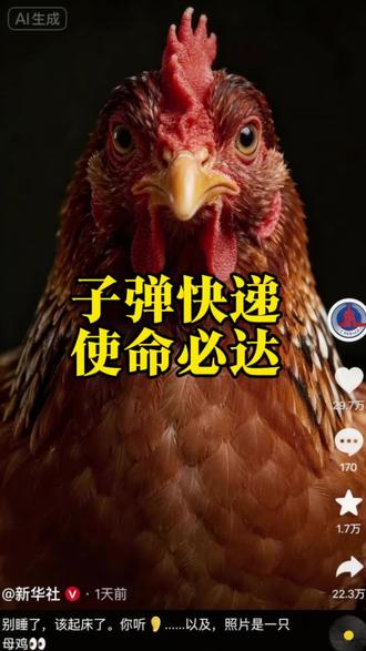 子弹快递,使命必达|告诉我,新华社发的这只母鸡为什么会打鸣#萌宠出道计划#神猫#新华社#母鸡 #使命