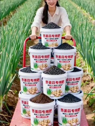葱姜蒜专用有机肥#葱姜蒜专用有机肥#大蒜高产#有机肥#肥料