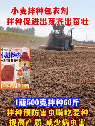 #种小麦想要提高产质减少病虫害#小麦专用拌种剂#不用兑水直接拌种#促进出芽齐岀苗壮#预防害虫啃吃麦种子病虫害预防…