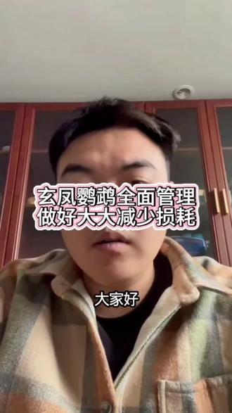玄凤鹦鹉想要养好,必须做好做这几点管理!#鹦鹉 #玄凤鹦鹉 #鹦鹉小白