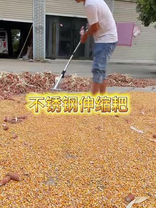 有了这款可伸缩的耙子,再也不用怕花园草坪的杂草落叶了,可伸缩收纳方便,手柄不锈钢材质耙齿弹簧钢材质非常耐用,农友们搂个粮食的杂质秸秆也很好用。#草坪耙子 #清理落叶 #粮食耙子 #伸缩耙子 #好物推荐🔥