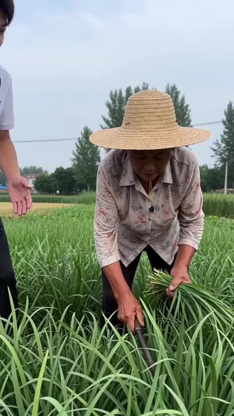 #豆包AI #农村趣事 #抽象#不知火舞