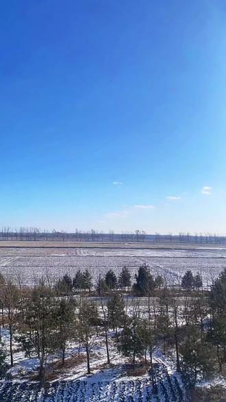 #这首歌唱得大实话,一定听到最后#搞笑