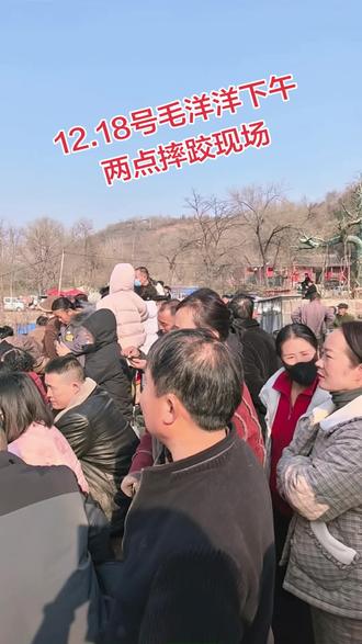 摔跤马上开始#拍摄现场直击 #赛马