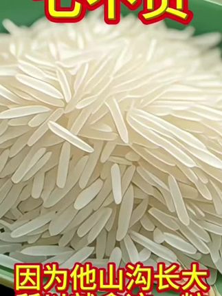 橱窗同款