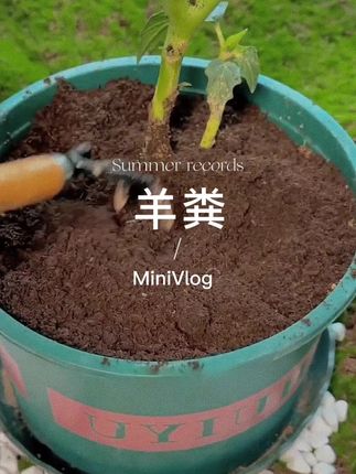 #强烈推荐