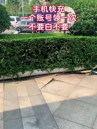 宝子们 快薅呀!!!#手机快充 #快充数据线 #快充 #充电器 #手机充电器