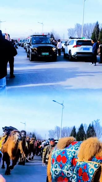 重走丝绸之路,天山—洛阳之行渭南站!
天山骆驼队于2025年12月20日抵达渭南。
行程亮点
出发时间:这支骆驼队于8月22日从新疆哈密巴里坤出发,计划用100天时间重走丝绸之路,全程2700多公里。
途经路线:途经酒泉、张掖、兰州、宝鸡、咸阳、西安等地,最终目的地为洛阳。
队伍构成:队伍由33峰骆驼、三匹马、20多名队员、三条狗和四辆补给车组成。
活动内容:沿途举办骆驼集市、歌舞表演,推荐新疆特产,讲述丝路故事。
到达详情
具体时间:驼队于12月20日中午12点后到达渭南北堤路,并在下午2点左右经过南河堤路。
行程背景:驼队于12月18日抵达西安高陵区,并于次日继续向渭南进发。#旅行推荐官 #上热搜 #人文 #骆驼 #丝绸之路