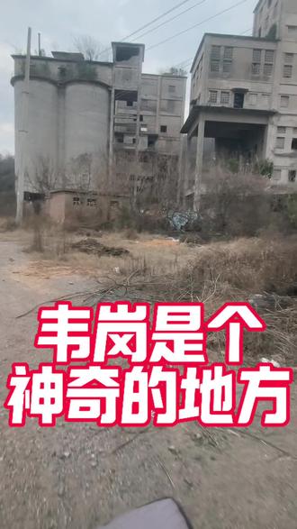 #真实生活分享计划 韦岗是个神奇的地方 热火朝天干工业的历史仿佛就在昨天 韦岗水泥厂#镇江同城 #锁匠日常 #韦岗船山矿 #韦岗铁矿