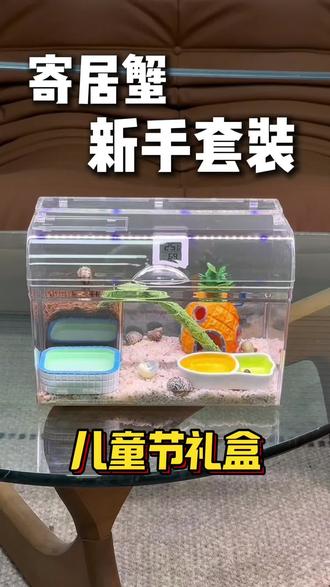儿童节马上到了,不知道送什么的就选这个新手套装,一套全搞定!#寄居蟹造景 #寄居蟹#寄居蟹新手套装
#61儿童节 #儿童节礼物