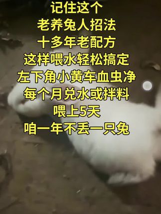 球虫一定预防好,别说你养的少#三农养殖 #肉兔养殖 #球虫 #兔球虫 @抖音小助手
