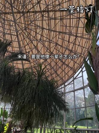 2.0的宋星阑不知道哥哥在说什么,委屈巴巴的 #一屋暗灯 #一屋暗灯 #宋星阑 #宋谨 #猫耳FM