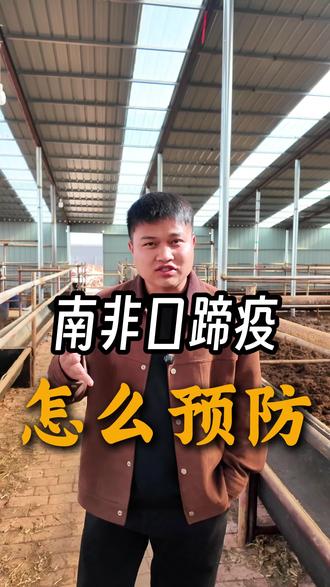 南非口蹄疫怎么预防#养牛人 #三农养殖 #动物防疫知识 #口蹄疫