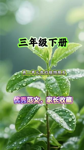 三年级下册作文难度升级,孩子不会写、家长不会教?这本同步作文秘籍来啦!贴合教材+视频讲解,好词好句+8篇范文,轻松搞定写作~
#三年级同步作文 #小学生作文辅导 #作文素材 #家长育儿干货