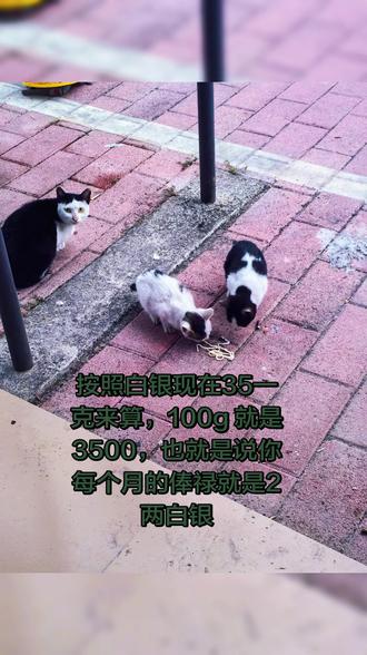 #俸禄几两白银 #白银按照白银现在35一克来算,100g 就是3500,每个月的俸禄就是2两白银