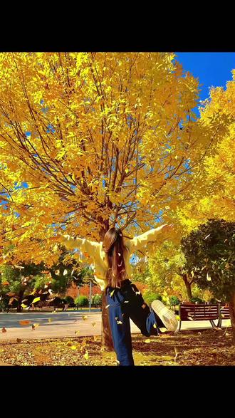 秋天落叶氛围感照片制作教程来了~后知后觉又过了一个秋 就来这里告别秋天教程 不知不觉又过了一个秋 就来这里告别秋天照片 在这个落叶像雪的季节 秋天 秋天拍照 秋天ai照片生成 秋天落叶🍂 #即梦ai #后知后觉又过了一个秋 现在那边是几点 #落叶 秋天落叶氛围感照片拍照教学 秋天落叶氛围感照片ai #秋天背影 秋天背影氛围感照片 秋天背影撒树叶 秋天背影照 秋天背影照ai 秋天背影照片ai指令 秋日氛围感照片 秋天背影拍照姿势 秋天单人背眼罩怎么拍 秋天背和落叶拍照 秋天夜晚背影照教程 秋天背影照拍摄角度 在这个落叶像雪的季节 #落叶🍂 落叶拍照 落叶拍照教程 落叶拍照ai指令 落叶背影拍照p图指令 ai落叶背影拍照教程 秋日氛围感拍照 银杏叶拍照 银杏叶拍照教程 秋天落叶照片怎么拍 秋天落叶照片ai 秋天落叶氛围感照片