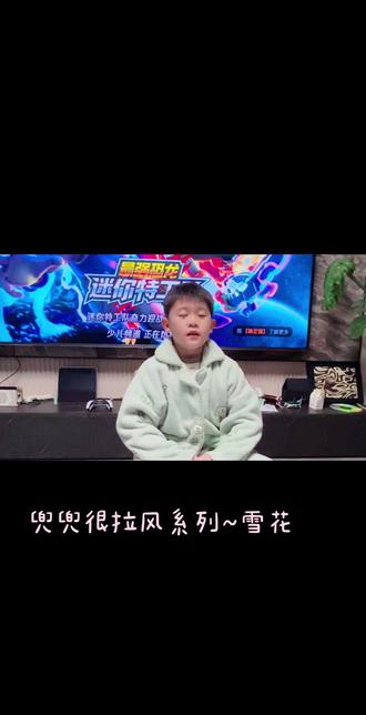 兜兜很拉风系列(三)~雪花