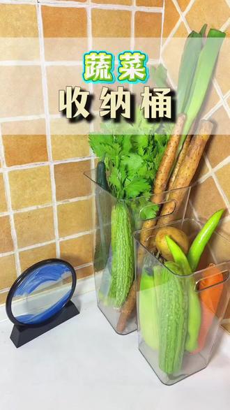 大葱终于有家了!再也不用乱糟糟🥬#大葱收纳神器 #蔬菜收纳桶