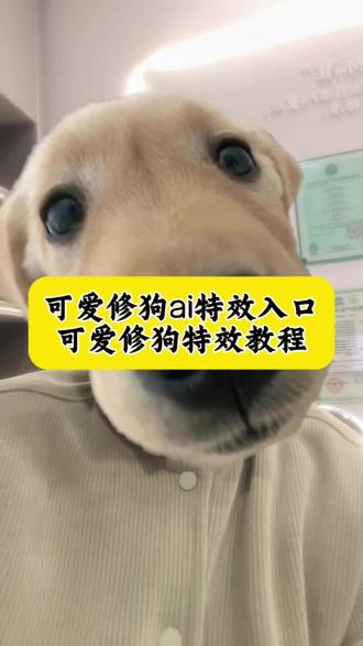 完了上个早八直接给我上成狗了?骗你的其实这是ai生成的,十秒钟教会大家 。#可爱修狗 #金毛 #可爱修狗特效 可爱修狗ai特效教程 可爱修狗拍同款 可爱修狗ai生成入口 可爱修狗怎么拍同款 金毛特效入口 金毛特效教程 狗头特效教程 金毛特效拍同款 可爱修狗 可爱修狗怎么制作 可爱修狗特效入口 金毛特效 撒娇小狗最好命 宠物治愈人心瞬间 可爱金毛视频 可爱金毛视频素材 萌宠版我想要占据你转场 狗头特效软件 小狗特效制作工具 小狗特效素材库 白色狗特效 白色小狗特效 #即梦ai #金毛特效