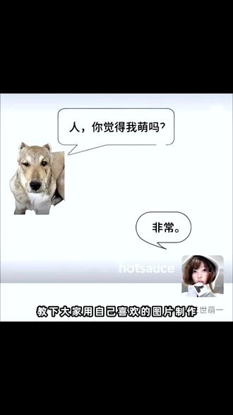 人你觉得我萌吗背景p图教程来了 人你觉得我萌吗背景图教程 人你觉得我萌吗背景图制作教程#人你觉得我萌吗 #背景图 #朋友圈背景图 #背景图制作 #剪映 朋友圈背景图素材 小狗微信背景图 萌萌狗狗手机壁纸 萌宠背景图高清 人你觉得我萌吗原图 卢卡巴尔萨萌图 人你觉得我萌吗壁纸 可爱的背景图 背景图制作教程 人你觉得我萌吗背景图怎么p