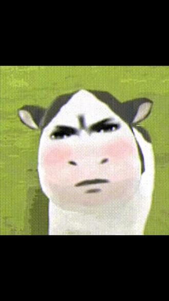 十八秒让你爱上牛牛#草地牛 #表情包 #可爱