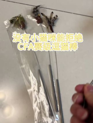 #养猫的乐趣 #傻猫的日常 #晒晒你们傻憨憨的小猫咪 #傻猫🐱 #猫咪